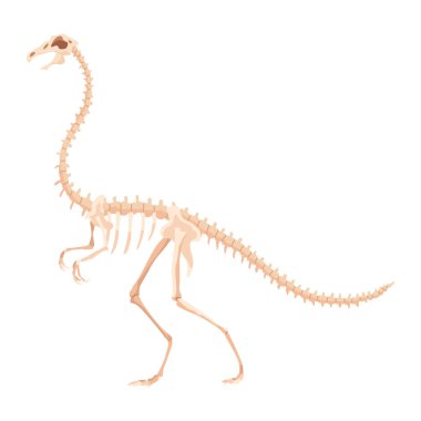 Dinozor iskeleti. Dino canavarları ikonu. Gerçek bir hayvanın şekli. Tarih öncesi sürüngenlerin çizimi. Vektör illüstrasyonu beyaza izole edildi. El çizimi çizim.