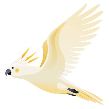 Papağan animasyonu. Egzotik, tapılası, karakter uçuşu. Beyaz sülfür kakadu. Canlandırılmış tropikal kuş uçuşu.