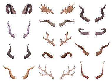 Boynuzlar hazır. Av ganimetleri. Vektör boynuzlu vahşi hayvanlar. Bir çift boynuz. Avlanan hayvanların vektör çizimi, vahşi yaşam dekorasyon konsepti.