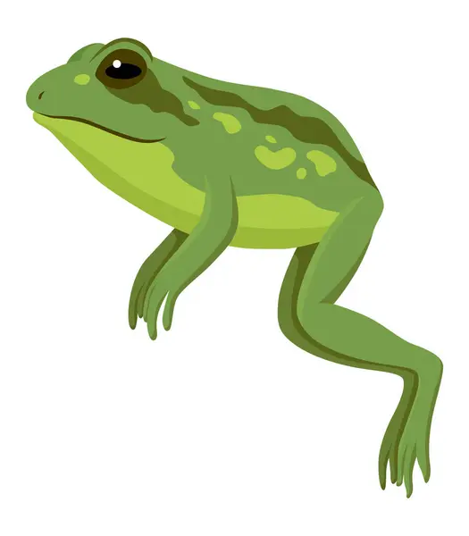 개구리 애니메이션 아이콘 움직임 디자인을 장면이나 장면이다 두꺼비 Frog Leap — 스톡 벡터
