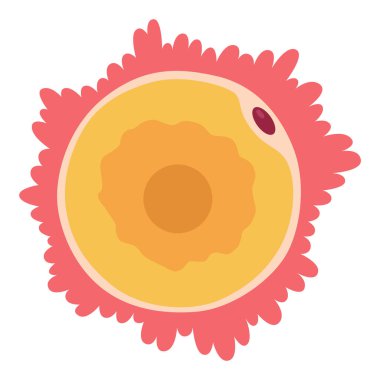 İnsan hücre tipi ikonu. Tıp ve biyoloji illüstrasyon sembolü. Sağlık, anatomi ve bilim. Biyoloji vektörü beyaz arkaplanda izole edildi.