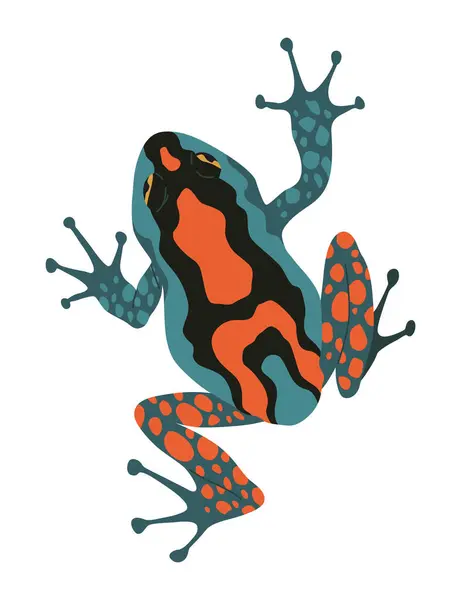 Frog Toad Amphibian Animal Type Froggy Exotic Tropical Reptile Flat Royalty Free Stock Vectors