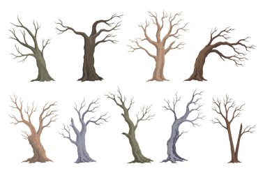 Eski ölü ağaç seti. Yapraksız gövde. Kış ya da sonbahar bitkileri simgeleri, kuru çıplak dal silueti. Doğa ekolojisi sorunları kavramı. İzole vektör illüstrasyonu.