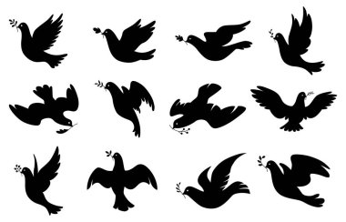 Güvercin siluetleri simgesi seti. Güvercinlerin siyah şekli. Beyaz arkaplanda zeytin dalı olan uçan güvercinler.