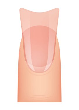 Çivi şeklinde manikür. Tırnak eklentisi. Profesyonel manikür şablonu. Salon tarzı moda modası. Beyaz arkaplanda vektör karikatür çizimi.