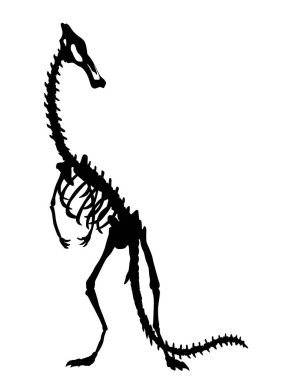 Dinozor iskeleti. Dino canavarları ikonu. Gerçek bir hayvanın şekli. Tarih öncesi sürüngenlerin çizimi. Vektör illüstrasyonu beyaza izole edildi. El çizimi çizim.