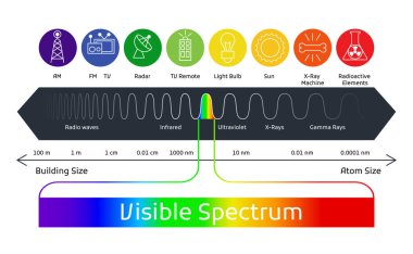 Spektrum dalga boyu. Görünür renk aralığı. Eğitimsel fizik ışık hattı. İnsan gözleri için spektrumun görünür kısmının dalga boyları.