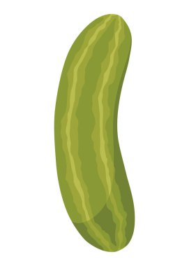 Ev yapımı salatalık turşusu. Paketleme, etiket, menü, tabela ya da vitrin için terbiye edilmiş yemek sanatı. Mayalanmış sebzeler, tuzlu turşu. Sağlıklı vejetaryen yemekleri.