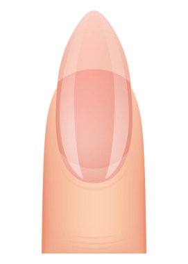 Çivi şeklinde manikür. Tırnak eklentisi. Profesyonel manikür şablonu. Salon tarzı moda modası. Beyaz arkaplanda vektör karikatür çizimi.