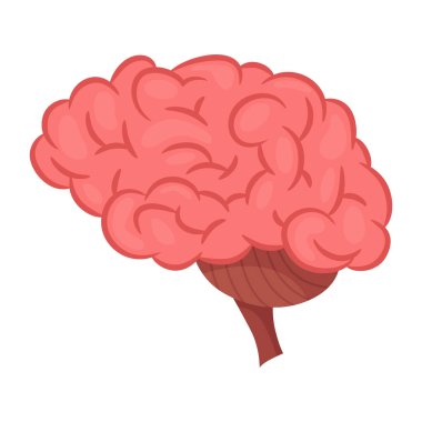 İç organ, beyin, bilgi posteri. Tıbbi anatomi bilgi elementi. Tıp konsepti, sağlık sigortası. Vektör illüstrasyonu.