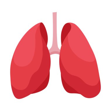 İç organ, akciğerler, bilgi posteri. Tıbbi anatomi bilgi elementi. Tıp konsepti, sağlık sigortası. Vektör illüstrasyonu.