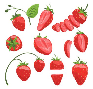 Canlı ve renkli bir çilek koleksiyonu çeşitli hoş şekillerde sunuluyor, yemek tasarımları için ideal.
