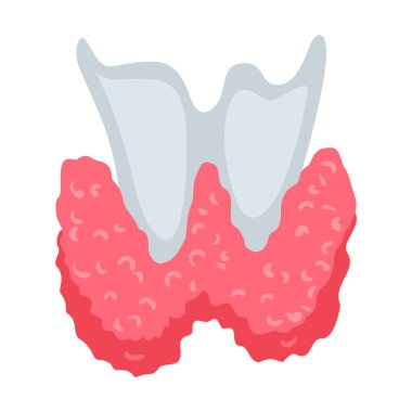 İnsan iç organı - tiroit, bilgi posteri. Tıbbi anatomi bilgi elementi. Tıp konsepti, sağlık sigortası. Vektör illüstrasyonu.