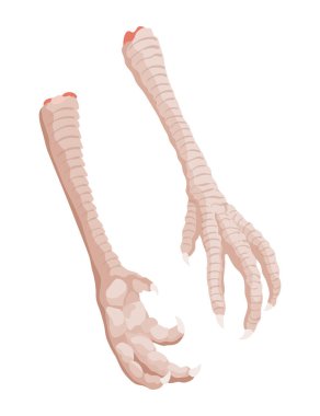Kapsamlı ve detaylı bir illüstrasyonla çiğ tavuk kesimi sergileniyor ve kısmen mutfak çalışmalarında kullanılıyor.