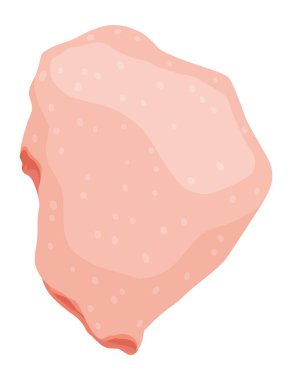 Kapsamlı ve detaylı bir illüstrasyonla çiğ tavuk kesimi sergileniyor ve kısmen mutfak çalışmalarında kullanılıyor.