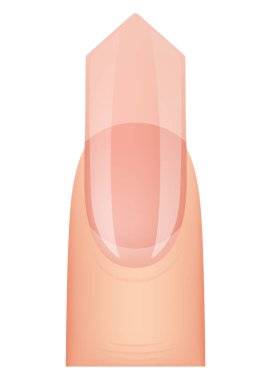 Çivi şeklinde manikür. Tırnak eklentisi. Profesyonel manikür şablonu. Salon tarzı moda modası. Beyaz arkaplanda vektör karikatür çizimi.