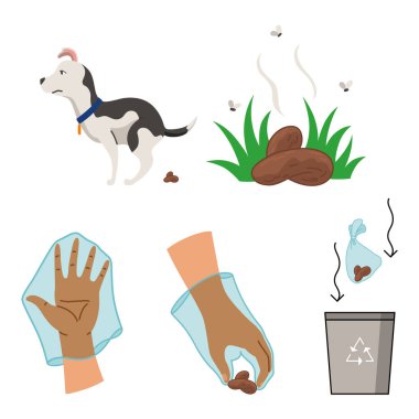 Köpek kakası basamakları temizler. Hijyen hayvanıyla ilgili taşıyıcı posteri, köpeğinin ardından tuvalet temizliği bilgisi. Evcil hayvan üstüne kaka toplamak, köpek çantasında atık toplamak ve çöpe atmak..