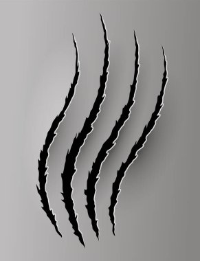 Ayı ya da Kaplan Pençesi izi. Çizikler ve yırtık vektör hayvan pençesi izleri. Yırtık kenarlı kağıt delikleri. Vektör illüstrasyonu.