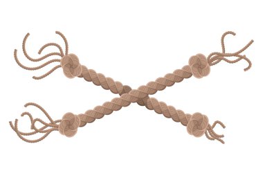 Püskül ve düğümle ipe asılıyor. Denizcilik ipliği ya da deniz dikey ipliği. Beyaz arka planda izole edilmiş halata asılı tekstil püskülleri. Vektör illüstrasyonu.