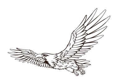 Amerikan kartalı, ulusal renk sembolü. Beyaz arka planda Amerikan gururlu kartalı. Vektör tasarımı illüstrasyonu.