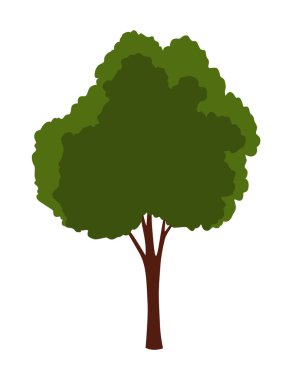 Ağaç simgesi. Yaprak döken bitki. Yeşil taçlar ve doğal kahverengi gövdeleri ve dalları olan yemyeşil yapraklar. Vektör çizgi film illüstrasyonu.