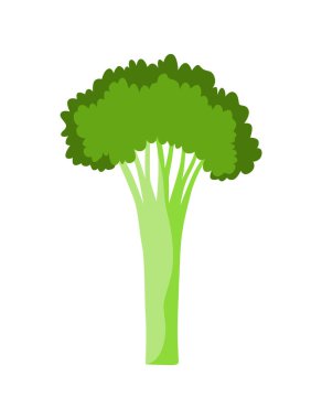 Sebze alfabesi, taze sebzelerden yapılmış İngilizce harf A. Brokoli. Kitaplar, menüler ya da dükkanlar için dekorasyon konsepti. Beyaz arkaplanda sebze harfleri tasarımı.