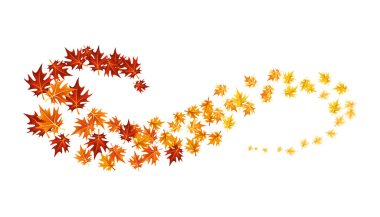 Sonbahar tasarım elementi bırakır. Sonbahar renkli akçaağaç beyaz arkaplanda sınır bırakır. Vektör illüstrasyonu.
