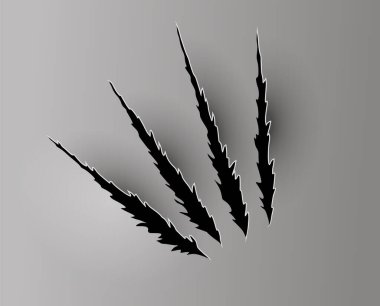 Ayı ya da Kaplan Pençesi izi. Çizikler ve yırtık vektör hayvan pençesi izleri. Yırtık kenarlı kağıt delikleri. Vektör illüstrasyonu.