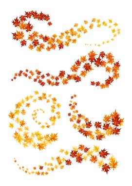 Sonbahar tasarım elementi bırakır. Sonbahar renkli akçaağaç beyaz arkaplanda sınır bırakır. Vektör illüstrasyonu.