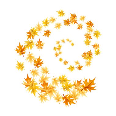 Sonbahar tasarım elementi bırakır. Sonbahar renkli akçaağaç beyaz arkaplanda sınır bırakır. Vektör illüstrasyonu.