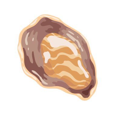 İstiridye. Deniz kabuğu, çizgi film ikonu. Okyanus egzotik sualtı lavabosu deniz kabuğu yumuşakçaları. Tropik deniz kabukları. Vektör çizgi film illüstrasyonu.