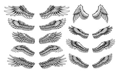 Wings eskiz koleksiyonu. Stilize kuş kanatları. Elle çizilmiş stiker kanadı açık pozisyonda. Renklendirme biçiminde vektör tasarımı ögeleri.