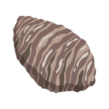 İstiridye. Deniz kabuğu, çizgi film ikonu. Okyanus egzotik sualtı lavabosu deniz kabuğu yumuşakçaları. Tropik deniz kabukları. Vektör çizgi film illüstrasyonu.