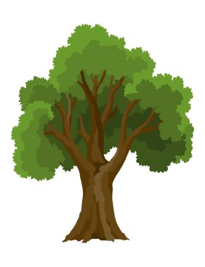 Bir tür ağaç ikonu. Yaprak döken bitki. Yeşil taçlar ve doğal kahverengi gövdeleri ve dalları olan yemyeşil yapraklar. Vektör çizgi film illüstrasyonu.