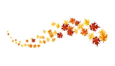 Sonbahar tasarım elementi bırakır. Sonbahar renkli akçaağaç beyaz arkaplanda sınır bırakır. Vektör illüstrasyonu.