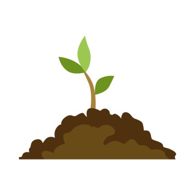 Ağaç yetiştirme aşaması. Yeşil yapraklı ve dallı küçük bir ağaç. İş döngüsü gelişiminin gösterimi.