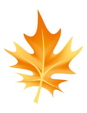 Canlı sonbahar mevsiminin özünü sembolize eden turuncu akçaağaç yaprağı.