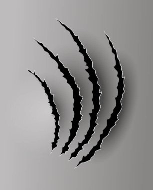 Ayı ya da Kaplan Pençesi izi. Çizikler ve yırtık vektör hayvan pençesi izleri. Yırtık kenarlı kağıt delikleri. Vektör illüstrasyonu.