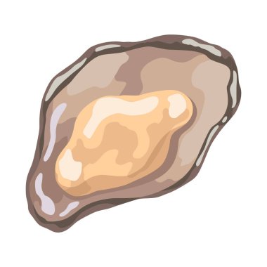 İstiridye. Deniz kabuğu, çizgi film ikonu. Okyanus egzotik sualtı lavabosu deniz kabuğu yumuşakçaları. Tropik deniz kabukları. Vektör çizgi film illüstrasyonu.