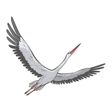 Turna kuşu gerçekçi, yüksek kalite detaylar. Vektör illüstrasyonu.