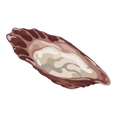 İstiridye. Deniz kabuğu, çizgi film ikonu. Okyanus egzotik sualtı lavabosu deniz kabuğu yumuşakçaları. Tropik deniz kabukları. Vektör çizgi film illüstrasyonu.