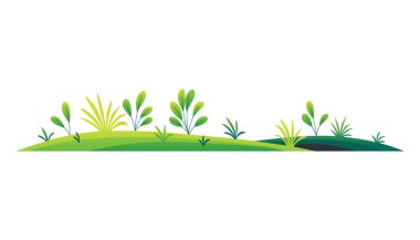 Çimenli yeşil çimenler ve beyaz arka planda bitkiler, güneşli çimlerde bitki kompozisyonu.