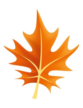 Canlı sonbahar mevsiminin özünü sembolize eden turuncu akçaağaç yaprağı.