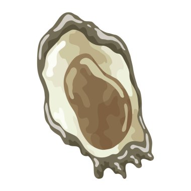 İstiridye. Deniz kabuğu, çizgi film ikonu. Okyanus egzotik sualtı lavabosu deniz kabuğu yumuşakçaları. Tropik deniz kabukları. Vektör çizgi film illüstrasyonu.