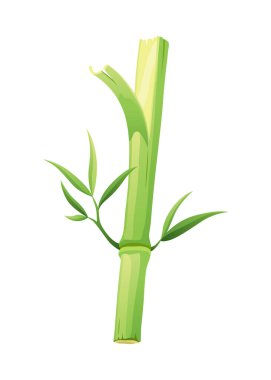 Bambu yeşili sapı, ikon. Beyaz arka planda yaprak izole edilmiş kök. Yapraklı ya da yapraklı sopa bambusunun eko tasarımı, vektör illüstrasyonu.