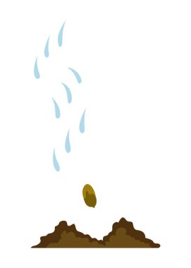 Ağaç yetiştirme aşaması. Tohumları bulut yağmurundan suluyorum. İş döngüsü gelişiminin gösterimi.