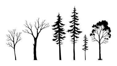 Çeşitli köknar ağacı ve ağaç siluetleri içeren taslak çizimler, doğa temalı tasarım ve projeler için mükemmel.