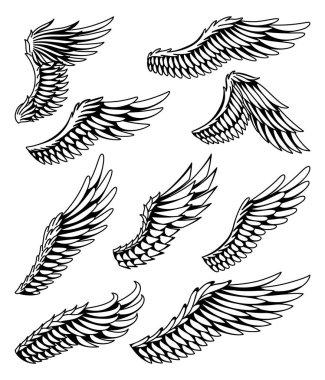 Wings eskiz koleksiyonu. Stilize kuş kanatları. Elle çizilmiş stiker kanadı açık pozisyonda. Renklendirme biçiminde vektör tasarımı ögeleri.