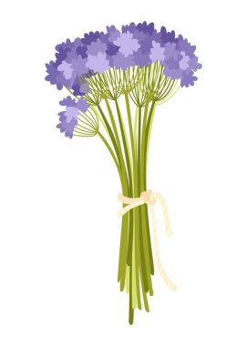 Aromaterapi doğal geleneksel tıp ikonu. Yabani çiçekler ya da şifalı bitkiler. Sağlık sigortası konsepti. Beyaz arkaplanda izole edilmiş düz grafik vektör çizimleri.