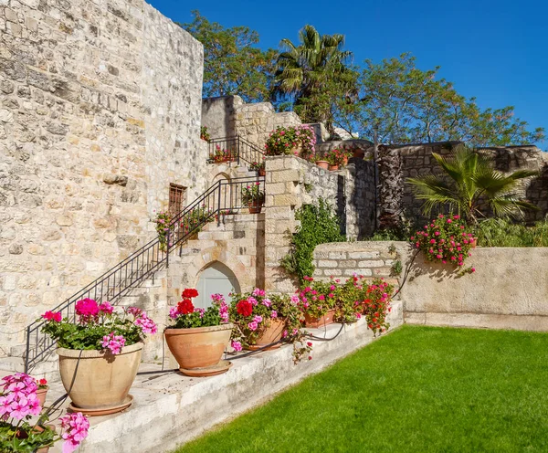 Mediterrane Prachtige Tuin Het Voorjaar Blauwe Lucht — Stockfoto